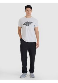 4f - 4F T-shirt regular z nadrukiem męski - szary XL. Okazja: na co dzień. Kolor: szary. Materiał: dzianina, bawełna, jersey. Długość rękawa: krótki rękaw. Długość: krótkie. Wzór: nadruk. Styl: klasyczny, sportowy, casual