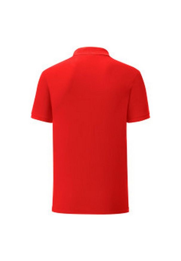 FRUIT OF THE LOOM - Koszulka Polo Męska Iconic. Typ kołnierza: polo. Kolor: czerwony