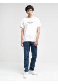 Big-Star - Koszulka męska z krótkim rękawem z linii Authentic Reagiser 100. Kolor: biały. Materiał: jeans, bawełna. Długość rękawa: krótki rękaw. Długość: krótkie. Wzór: nadruk #1