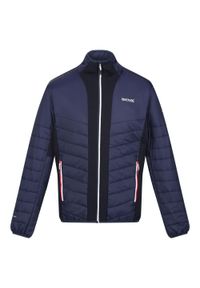 Regatta - Męska Kurtka Halton VII Contrast Panel Baffled Padded Jacket. Kolor: niebieski #1