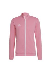 Adidas - Bluza treningowa męska adidas Entrada 22 Track Jacket. Kolor: wielokolorowy, różowy, biały