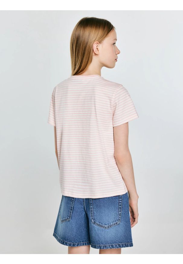Big-Star - Koszulka dziewczęca w paski różowa Mica 600. Okazja: na co dzień. Kolor: różowy. Materiał: skóra, żakard, dzianina, materiał, bawełna. Wzór: paski. Styl: casual, klasyczny, elegancki