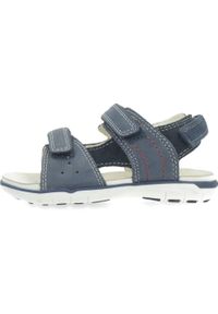 Geox - Sandały GEOX SANDAL DELHI BOY B Niebieski. Kolor: niebieski. Materiał: skóra. Sezon: lato