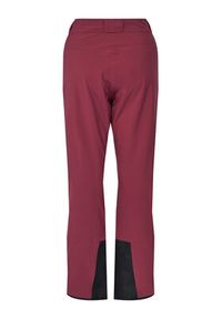 Salewa Spodnie narciarskie Antelao Beltovo Twr Pnt 28252 Bordowy Regular Fit. Kolor: czerwony. Materiał: syntetyk. Sport: narciarstwo