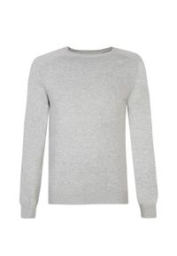 TOP SECRET - Klasyczny sweter z miękkiej dzianiny. Kolor: szary. Materiał: dzianina. Styl: klasyczny