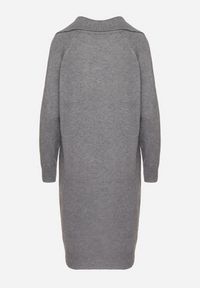 Born2be - Szara Sukienka z Bawełną i Wełną z Kołnierzykiem na Suwak Tereithra. Okazja: na co dzień, na spotkanie biznesowe. Kolor: szary. Materiał: wełna, bawełna. Typ sukienki: proste. Styl: wizytowy, casual, elegancki, biznesowy #3