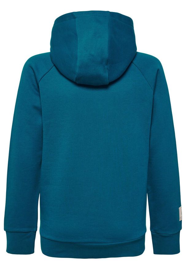 Bluza z kapturem dla dzieci Hummel hmlGG12. Typ kołnierza: kaptur. Kolor: turkusowy, niebieski, wielokolorowy