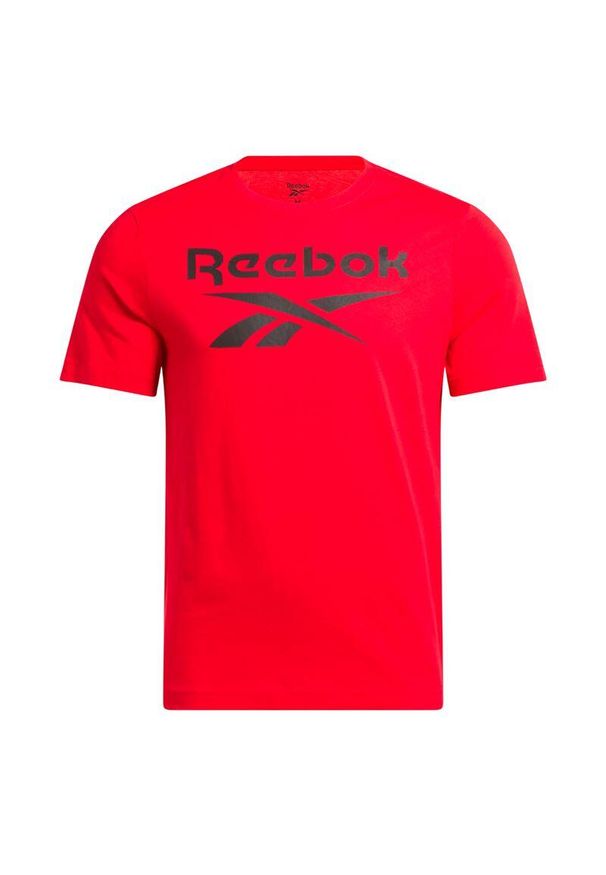 Koszulka Reebok Reebok Identity Big Logo Tee. Kolor: wielokolorowy