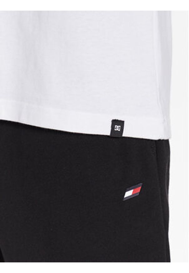 DC Shoes T-Shirt Stuck On You ADYZT05245 Biały Relaxed Fit. Kolor: biały. Materiał: bawełna