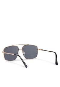 Aldo Okulary przeciwsłoneczne Frelinnor 13994744 Złoty. Kolor: złoty #3