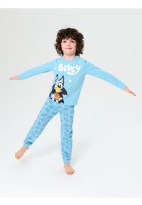 Sinsay - Bawełniana piżama dwuczęściowa z nadrukiem Bluey - błękitny. Kolor: niebieski. Materiał: bawełna. Wzór: nadruk #1
