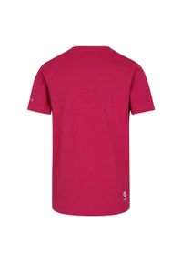 DARE 2B - T-shirt Dziecięca Amuse II. Kolor: różowy. Sport: turystyka piesza