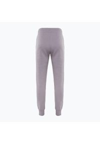 Spodnie damskie Nike Phoenix Fleece. Kolor: fioletowy