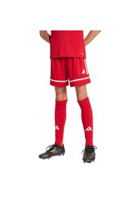 Spodenki Adidas Sport Squa25 Sho Y Dzieci. Kolor: czerwony, biały, wielokolorowy. Długość: krótkie. Styl: sportowy