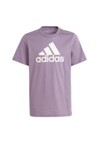 Adidas - Essentials Big Logo Cotton Tee. Kolor: różowy, fioletowy, wielokolorowy