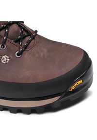 Dolomite Trekkingi Cinquantaquattro Trek Gtx GORE-TEX 271852-300 Brązowy. Kolor: brązowy. Materiał: skóra, nubuk