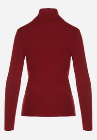 Born2be - Bordowy Klasyczny Golf z Bawełną Reilisea. Okazja: na co dzień. Typ kołnierza: golf. Kolor: czerwony. Materiał: bawełna. Styl: klasyczny #4