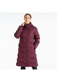 DARE 2B - Damska kurtka ocieplana Wander. Kolor: fioletowy. Materiał: puch. Sport: turystyka piesza #1