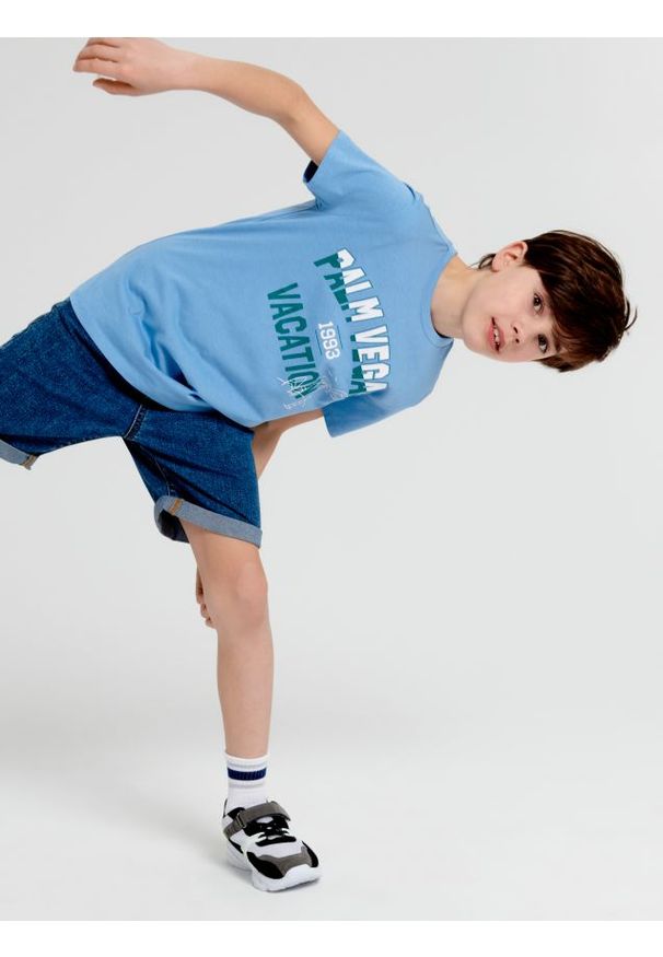Sinsay - Koszulka z nadrukiem - błękitny. Kolor: niebieski. Materiał: bawełna. Wzór: nadruk