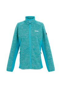 Regatta - Damska Bluza Polarowa Highton IV Z Pełnym Zamkiem Błyskawicznym. Kolor: niebieski. Materiał: polar. Sezon: zima. Styl: sportowy. Sport: turystyka piesza #1