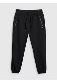 4f - 4F Spodnie dresowe joggery męskie - czarne M. Kolor: czarny. Materiał: dresówka #1