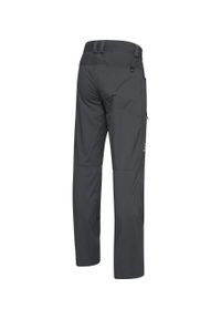Haglöfs - Spodnie outdoorowe męskie Lite Standard Pant. Kolor: szary