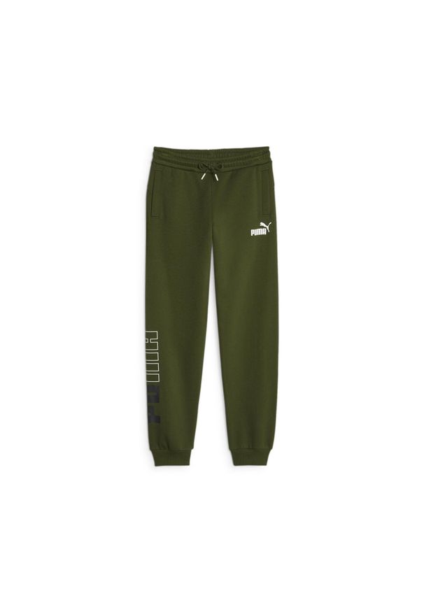 Spodnie Puma Power Colorblock. Kolor: zielony