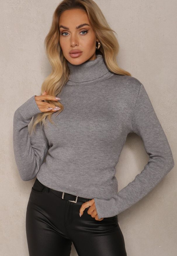 Renee - Szary Klasyczny Golf z Domieszką Wełny Zoziona. Okazja: na spotkanie biznesowe, na co dzień, do pracy. Typ kołnierza: golf. Kolor: szary. Materiał: wełna. Długość rękawa: długi rękaw. Długość: długie. Styl: klasyczny