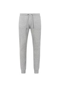 Stedman - Spodnie Do Biegania Dla Dorosłych Unisex Heather Plain Recycled. Kolor: szary
