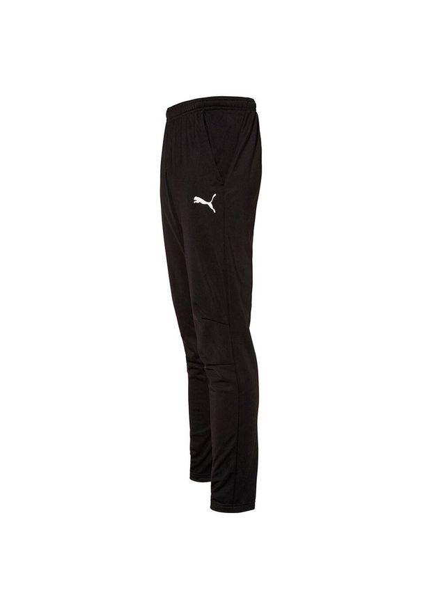 Spodnie sportowe męskie Puma Liga 655770-03. Kolor: czarny. Sport: fitness