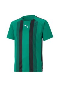 Koszulka dziecięca Puma Team Liga Striped. Kolor: czarny, wielokolorowy, zielony. Sport: fitness, piłka nożna #1
