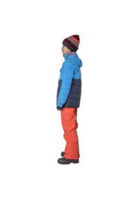 Kurtka dla dzieci narciarska Protest Lodge 6810182. Materiał: materiał, poliester. Sezon: lato, zima. Sport: narciarstwo #3