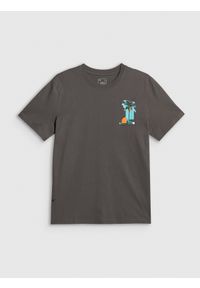 4f - 4F T-shirt regular z nadrukiem męski - szary L. Okazja: na co dzień. Kolor: szary. Materiał: bawełna, dzianina. Wzór: nadruk. Styl: klasyczny, wakacyjny, casual #1