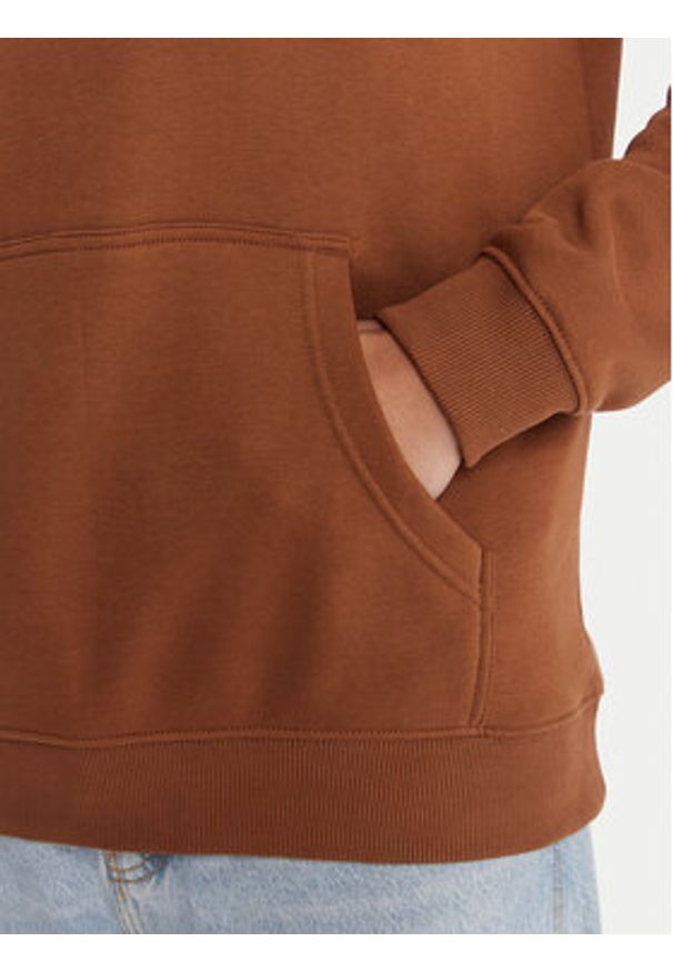 DC Shoes Bluza Star EDYSF03261 Miedziany Regular Fit. Kolor: brązowy. Materiał: bawełna