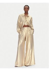 ACCESS FASHION Spodnie palazzo 53-5034-922 Złoty Wide Leg. Kolor: złoty. Materiał: syntetyk