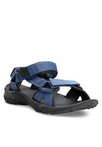 Jack Wolfskin Sandały Lakewood Ride Sandal M 4019021 Granatowy. Kolor: niebieski. Materiał: materiał #3