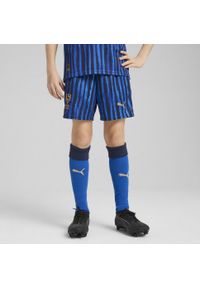 Puma - Młodzieżowe szorty KIDSUPER × AL-HILAL SFC PUMA Blue Intense Club Navy. Kolor: niebieski. Sezon: lato. Sport: piłka nożna
