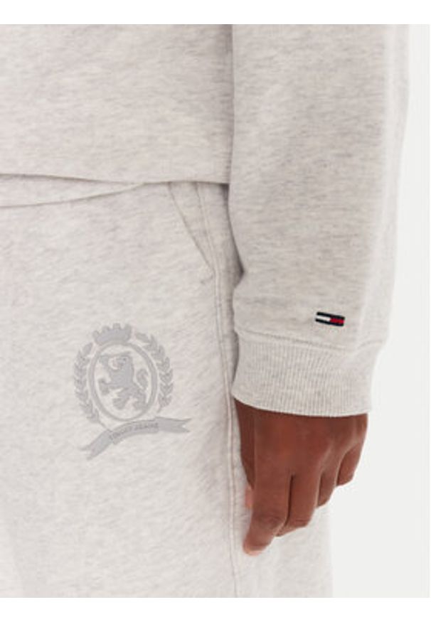 Tommy Jeans Bluza DW0DW21586 Szary Regular Fit. Kolor: szary. Materiał: bawełna