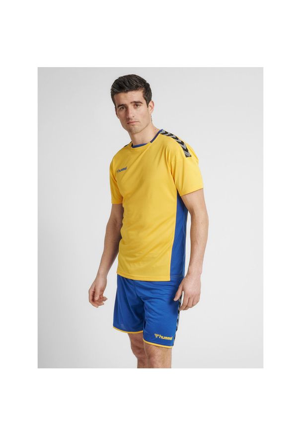 Jersey Hummel hmlAUTHENTIC Poly HML. Kolor: żółty, wielokolorowy, niebieski. Materiał: jersey. Sport: fitness