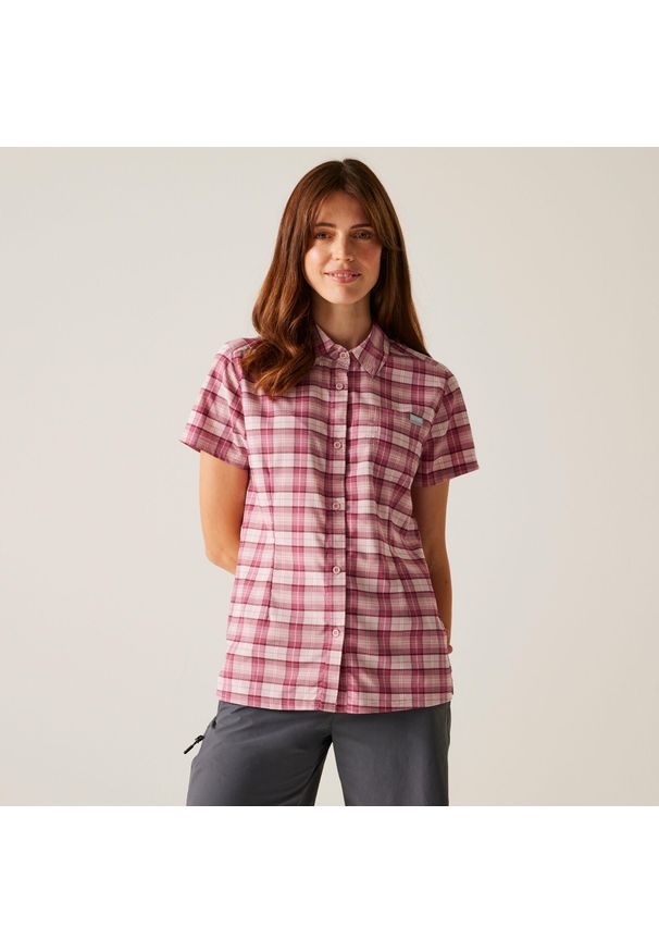 Regatta - Koszula turystyczna damska Begarno z krótkim rękawem. Kolor: fioletowy. Materiał: wiskoza, poliester, elastan. Długość rękawa: krótki rękaw. Długość: krótkie. Sport: turystyka piesza