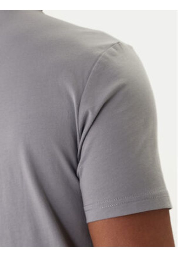 Napapijri T-Shirt Salis NP0A4H8D Szary Regular Fit. Kolor: szary. Materiał: bawełna