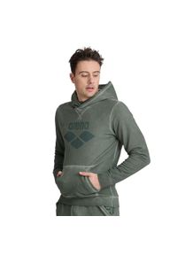 Arena - Bluza sportowa Icons Hoodie Sweat z kapturem. Typ kołnierza: kaptur. Kolor: zielony