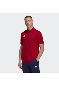 Koszulka polo do piłki nożnej męska Adidas Entrada 22 Polo z krótkim rękawem. Typ kołnierza: polo. Kolor: czerwony. Materiał: materiał. Długość rękawa: krótki rękaw. Długość: krótkie. Sport: piłka nożna