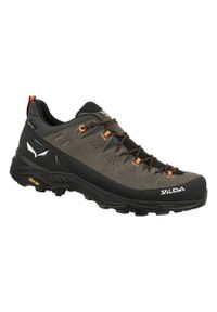 Buty Trekkingowe Męskie Salewa Alp Trainer 2 Gtx. Kolor: wielokolorowy, brązowy. Materiał: zamsz, materiał, syntetyk