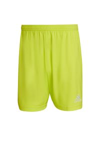 Adidas - Spodenki piłkarskie męskie adidas Entrada 22. Kolor: zielony, wielokolorowy, żółty. Sport: piłka nożna