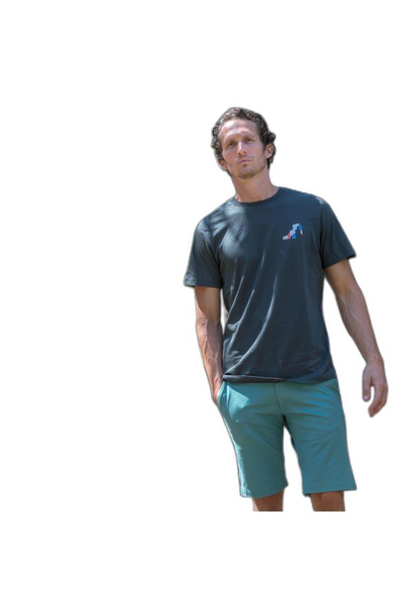 SNAP CLIMBING - Koszulka Snap Climbing Heart Dietrich. Kolor: szary. Sport: wspinaczka