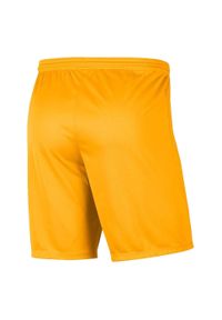 Nike - Męskie Spodenki Dry Park III. Kolor: żółty. Sport: turystyka piesza