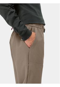 Jack Wolfskin Spodnie outdoor Kiebitzweg Pants 1508471 Brązowy Regular Fit. Kolor: brązowy. Materiał: syntetyk. Sport: outdoor #6