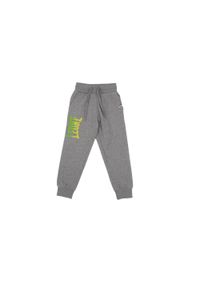 LEONE 1947 APPAREL - Dziecięce spodnie dresowe basic z dużym logo. Kolor: szary. Materiał: dresówka. Sport: joga i pilates