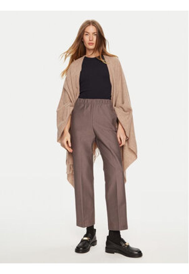 Max Mara Leisure Spodnie materiałowe Quiete 2426786048 Brązowy Straight Fit. Kolor: brązowy. Materiał: bawełna, syntetyk